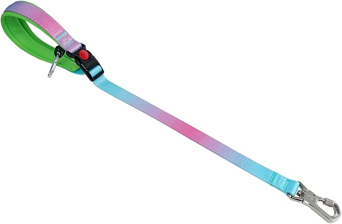 TSPRO Dog Training Leash with Sturdy Metal Buckle, 26 Inches Adjustable Short Leash for Large Dogs, Comfortable Padded Handle (Blue - Pink Gradient)