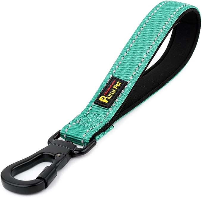 PLUTUS PET Short Dog Leash, Reflective Nylon Padded Handle, Strong Traffic Leash with Carabiner Clip, Perfect for Large or Medium Dogs (10”,Teal)