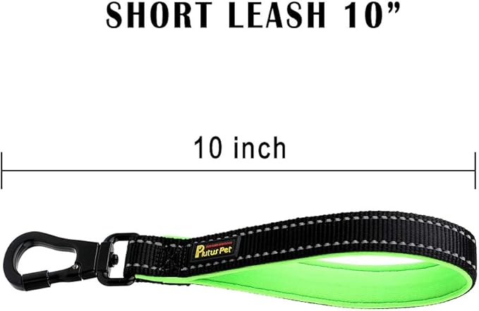 PLUTUS PET 10 Inch Short Dog Leash for Large Dogs with Locking Carabiner Clip & Padded Handle(10”, Black)