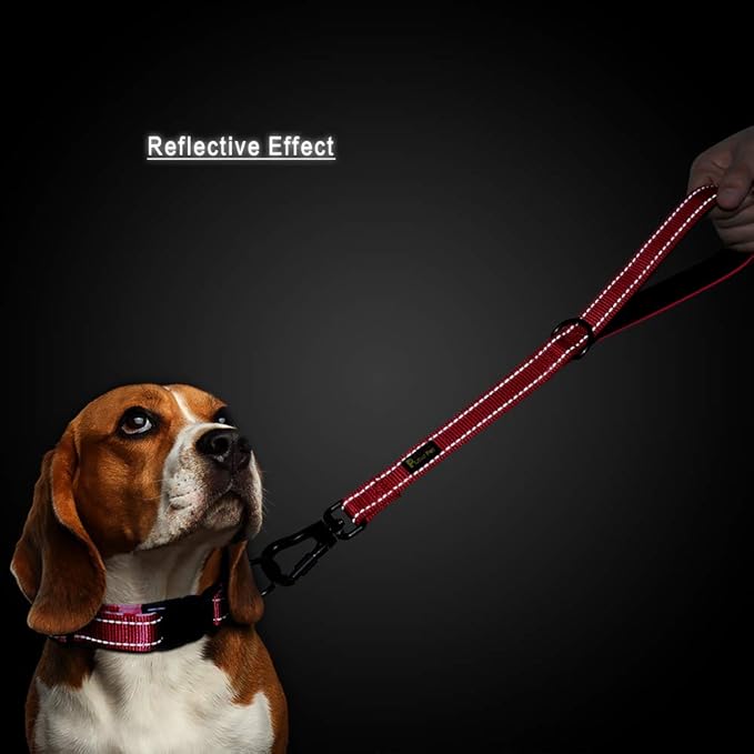 PLUTUS PET Short Training Dog Leash with Padded Handle for Medium Large Big Dogs,18 Inch Heavy Duty Strong Traffic Leash with Carabiner Clip for Climbing Walking or Guiding Blind(18”,Red