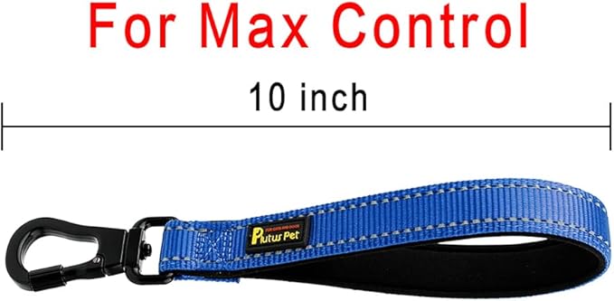 PLUTUS PET Short Dog Leash, Reflective Nylon Padded Handle, Strong Traffic Leash with Carabiner Clip, Perfect for Large or Medium Dogs (10”,Royal Blue)