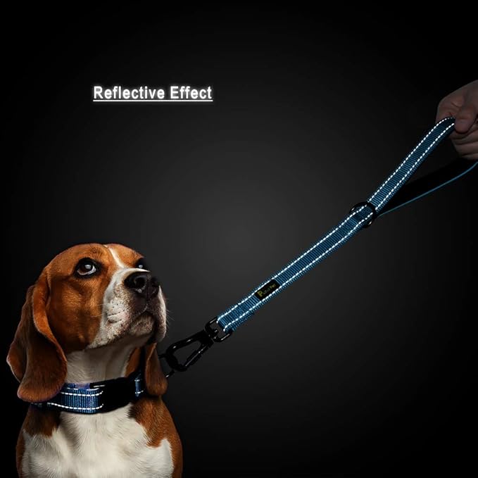 PLUTUS PET Short Training Dog Leash with Padded Handle for Medium Large Big Dogs,18 Inch Heavy Duty Strong Traffic Leash with Carabiner Clip for Climbing Walking or Guiding Blind(18”,Blue