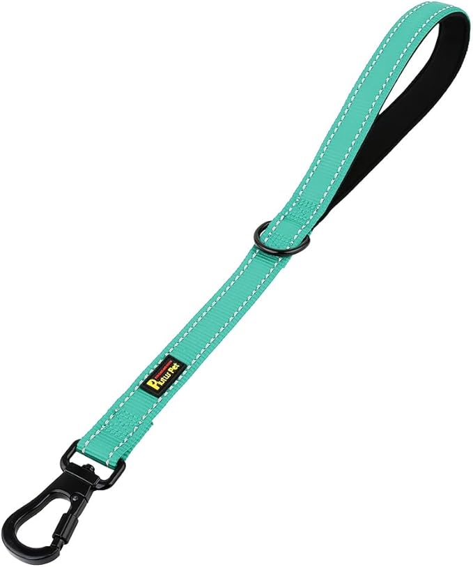 PLUTUS PET Short Training Dog Leash with Padded Handle for Medium Large Dogs,18 Inch Heavy Duty Strong Traffic Leash with Carabiner Clip for Climbing Walking or Guiding Blind(18”,Teal)