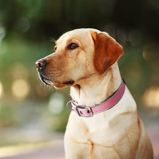 Fida Heavy Duty Dog Collar, Ultra Comfortable Soft Neoprene Padded, Adjustable Reflective Nylon Pet Collar with Durable Metal Belt Buckle for Large Breeds (L, Pink)