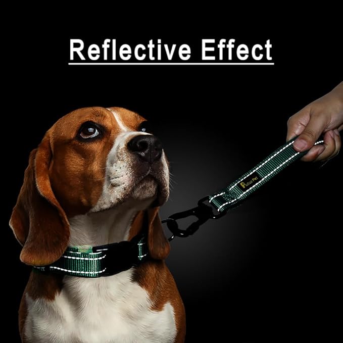 PLUTUS PET Short Dog Leash, Reflective Nylon Padded Handle, Strong Traffic Leash with Carabiner Clip, Perfect for Large or Medium Dogs (10”,Teal)