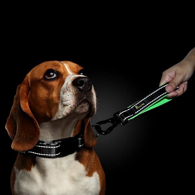 PLUTUS PET 10 Inch Short Dog Leash for Large Dogs with Locking Carabiner Clip & Padded Handle(10”, Black)