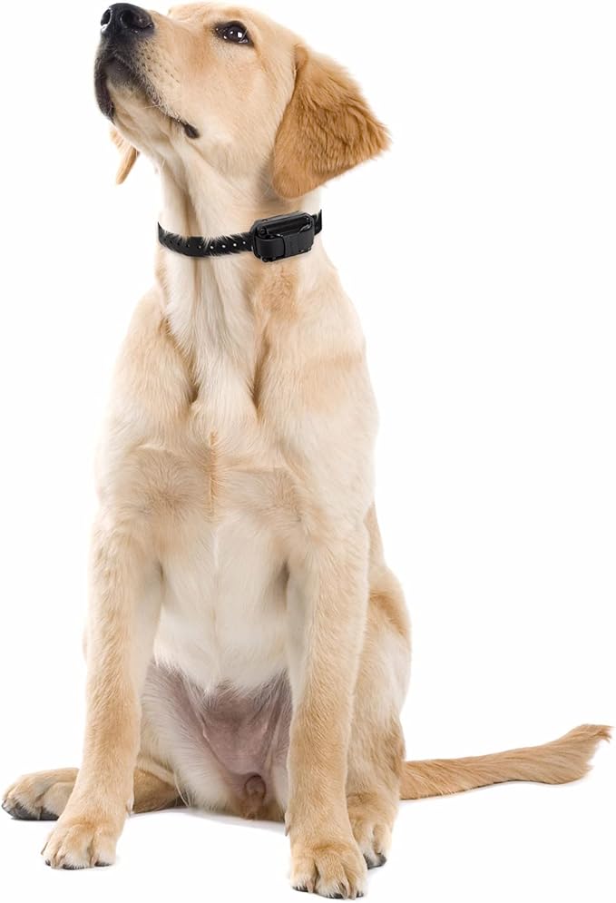 Educator E-Collar Humane Dog Training Collar with Remote, 100 Safe Tapping Stimulation Levels, Night Light, Waterproof, Rechargeable, 1 Mile 2 Large Dogs, Orange