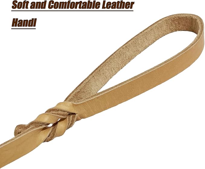 LWBMG Leather Dog Leash - 4ft Heavy Duty, Braided, Comfortable for Large, Medium & Small Dogs - Tan