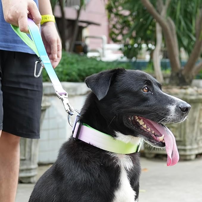 TSPRO Dog Training Leash with Sturdy Metal Buckle, 14 Inches Short Leash for Large Dogs, Comfortable Padded Handle (Rainbow Gradient)
