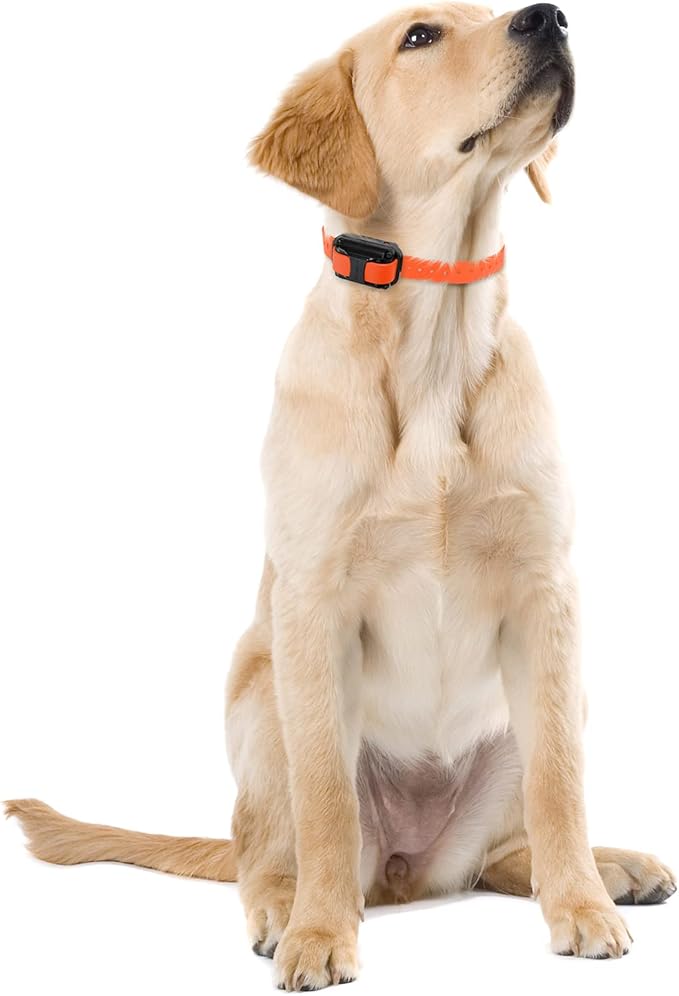 Educator E-Collar Humane Dog Training Collar with Remote, 100 Safe Tapping Stimulation Levels, Night Light, Waterproof, Rechargeable, 1 Mile 1 Large Dog, Orange