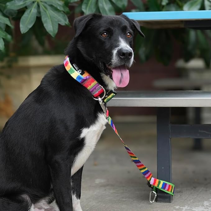 TSPRO Dog Training Leash with Sturdy Metal Buckle, 26 Inches Adjustable Short Leash for Large Dogs, Comfortable Padded Handle (Rainbow Gradient)