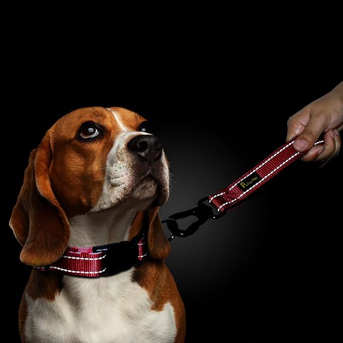 PLUTUS PET 10” Short Dog Leash, Reflective Nylon Padded Handle, Strong Traffic Leash with Carabiner Clip, Perfect for Large or Medium Dogs(10”,Red