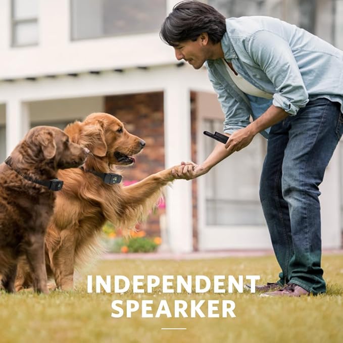 Dog Training Collar - Rechargeable Dog Shock Collar with Beep, Vibration and Shock Training Modes, Rainproof, Long Remote Range, Adjustable Shock Levels Shock Collars for Dogs with Remote