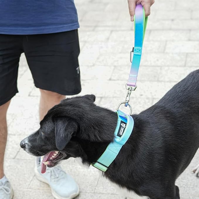 TSPRO Dog Training Leash with Sturdy Metal Buckle, 14 Inches Short Leash for Large Dogs, Comfortable Padded Handle (Rainbow Gradient)