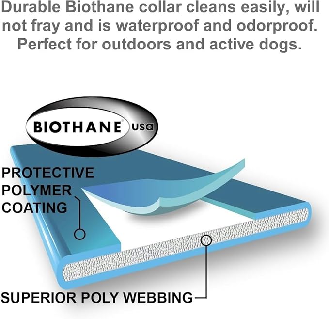 Educator E-Collar Dog Training Collar, Rechargeable Remote + Finger Clicker, for Small to Medium Dogs, Humane Tapping Stimulation, 100 Levels, Tone, Light, 1/2 Mile 1 Dog, Zen