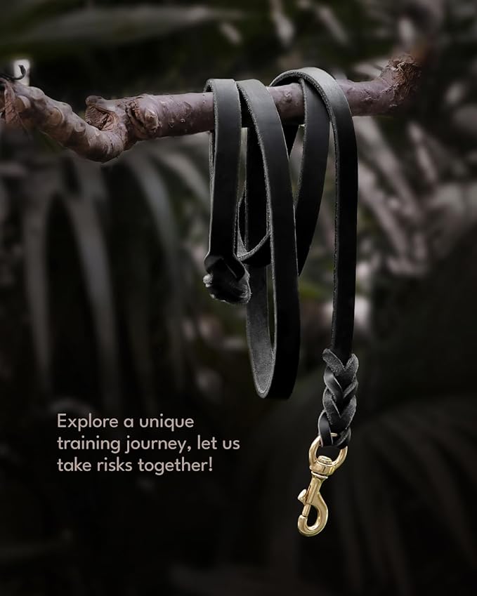 FAIRWIN Leather Dog Leash 6 Foot - Braided Military Grade Heavy Duty Dog Leash for Large Medium Small Dogs Training and Walking (Black, S:1/2" x 6ft)