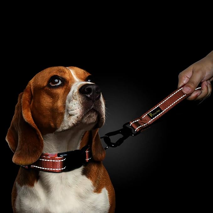 PLUTUS PET 10” Short Dog Leash, Reflective Nylon Padded Handle, Strong Traffic Leash with Carabiner Clip, Perfect for Large or Medium Dogs(10”,Orange
