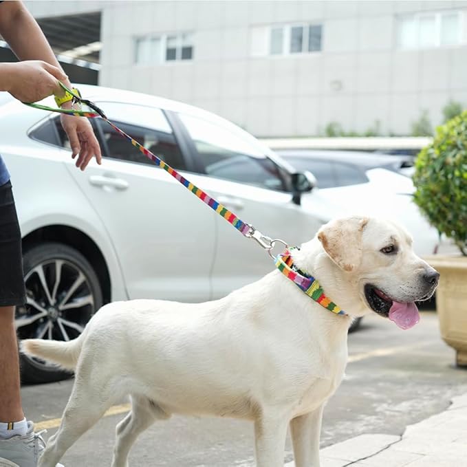 TSPRO Dog Training Leash with Sturdy Metal Buckle, 26 Inches Adjustable Short Leash for Large Dogs, Comfortable Padded Handle (Multi Colored)