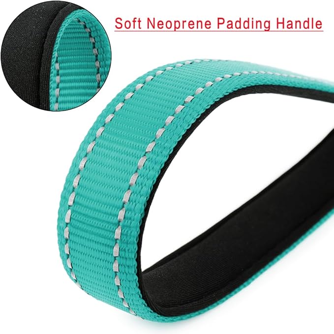 PLUTUS PET Short Dog Leash, Reflective Nylon Padded Handle, Strong Traffic Leash with Carabiner Clip, Perfect for Large or Medium Dogs (10”,Teal)