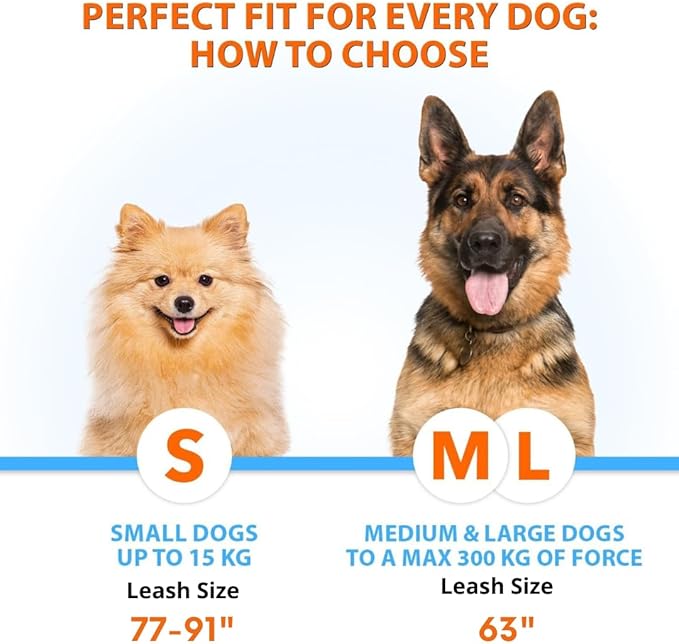 SparklyPets - Hands Free Double Dog Leash - Dual Leash for 2 Small Dogs - with Padded Handles, Reflective Stitches - No Pull, Tangle Free, for Dog Walking, Hiking, Canicross - for Small Dogs