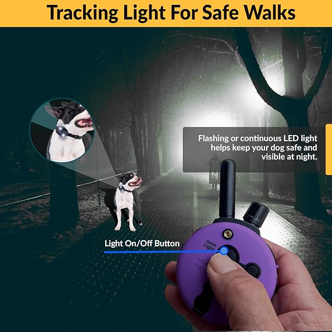 Educator E-Collar Humane Dog Training Collar with Remote, 100 Safe Tapping Stimulation Levels, Night Light, Waterproof, Rechargeable, 1/3 Mile 1 Small Dog Double Bungee Collar Bundle, Purple