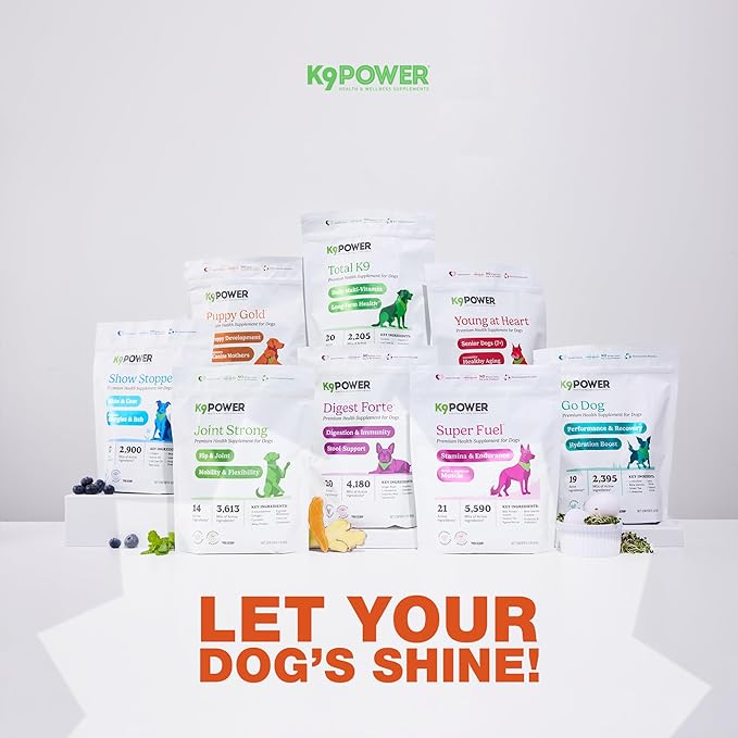 K9 Power Puppy Gold 1 lb - Supplement for Growing Puppies & Nursing Mothers - Essential Nutrients for Healthy Growth & Development - 45 Scoops
