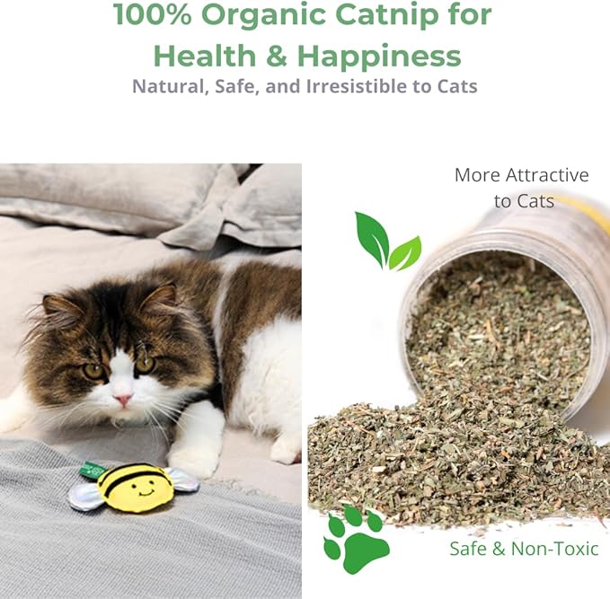 Eco-Friendly Cat Gift Box β 7-Piece Set with Organic Catnip Toys, Feather Wand, Blanket & Pop-Up Cat Cave for Indoor Cats and Kittens