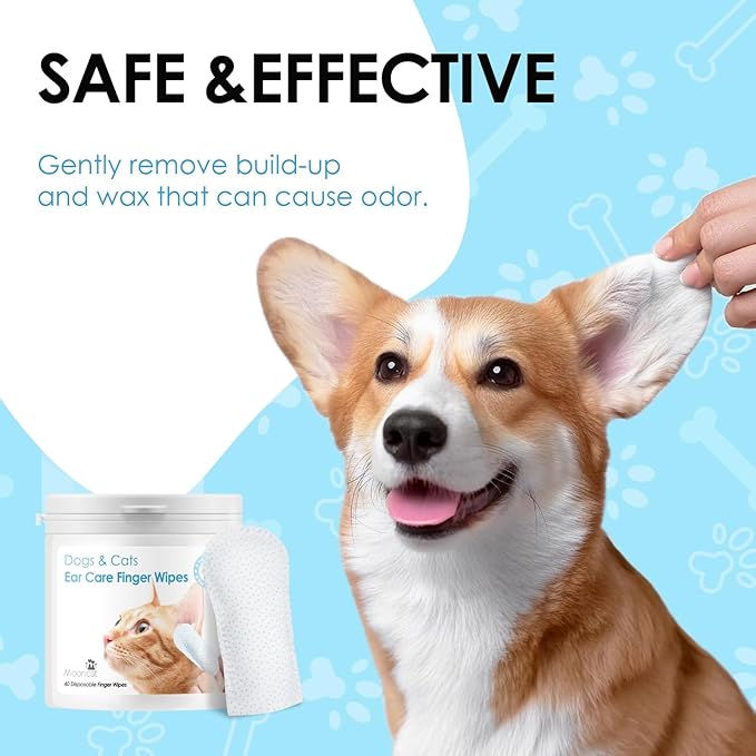 Mooncat Waterless Cat Grooming Bundle โ No Rinse Foam Shampoo (5oz) + Cat Ear Cleaning Finger Wipes (40ct) | Licking Safe, pH Balanced, Dry Bath for Sensitive Cats, Removes Ear Wax & Dirt, Daily Pet H