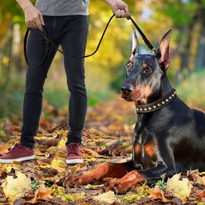 LWBMG Leather Dog Leash 6ft x 3/4 inch, Heavy Duty Genuine Leather Braided Dog Training Leash, Soft and Strong Pet Lead for Large, Medium, Small Dogs