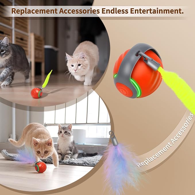Speedy Tail 2.0 Interactive Cat Toy β Smart Self-Rolling Cat Ball with Feather Tail, Automatic Moving Motorized Toy for Indoor Cats, Chasing & Hunting Fun (Orange)