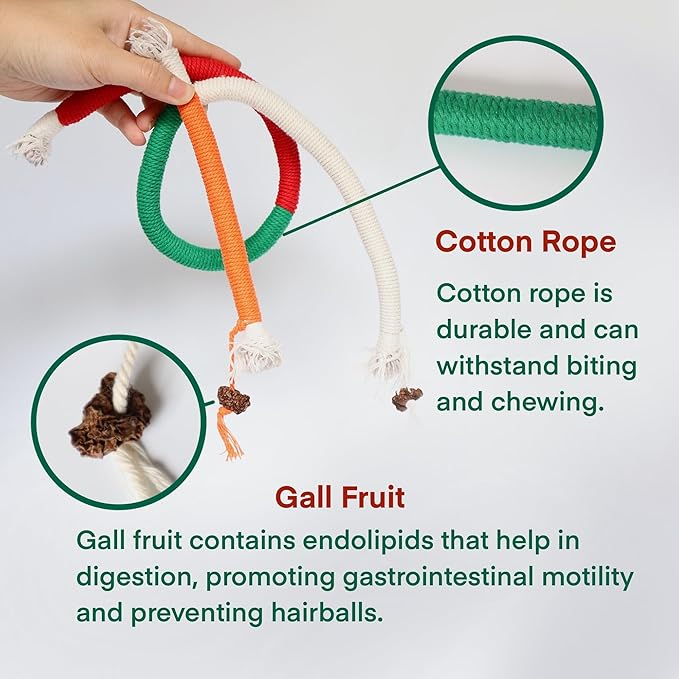 Kittens Toys,Cat Chew Toys for Indoor Cats, Catnip Toy for Teeth Cleaning, Interactive Cat Nip Teething Rope Toys for Cats Kitty, 2 Pack (27.56&7.87 inches,Plus 2 Packs of Catnip)