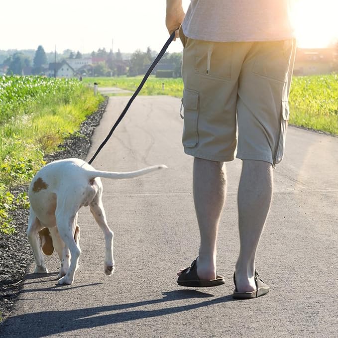 LWBMG Leather Dog Leash - 6ft x 3/4 inch Heavy Duty, Braided, Comfortable for Large, Medium & Small Dogs - Black