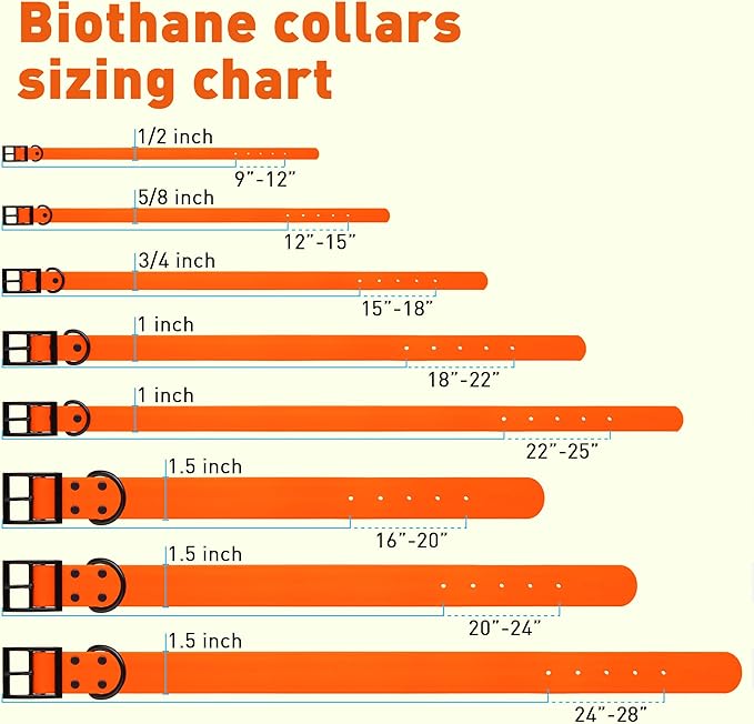 Dogline Biothane Waterproof Dog Collar Strong Coated Nylon Webbing with Black Hardware Odor- Proof for Easy Care Easy to Clean High Performance Fits Small Medium or Large Dogs, Hunter Orange