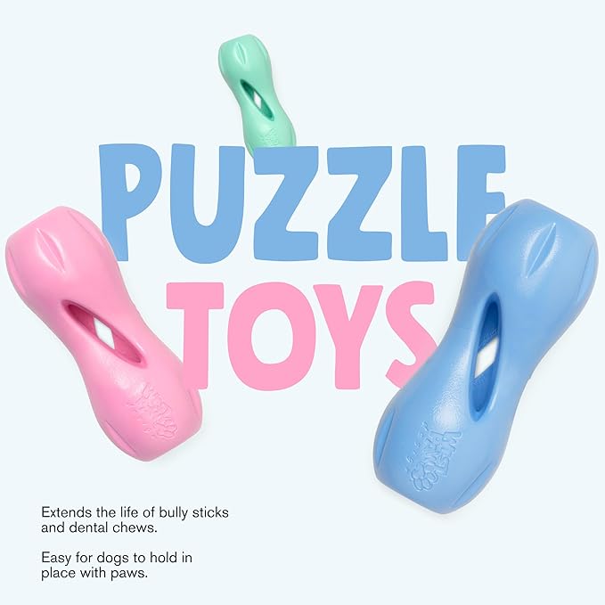 WEST PAW Zogoflex Qwizl Dog Puzzle Treat Toy – Interactive Chewing for Dogs – Dispenses Pet Treats – Brightly-Colored Dog Enrichment Toy for Aggressive Chewers, Fetch, Catch, Small 5.5", Mint