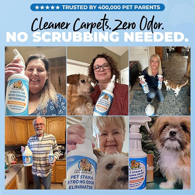 FurryFreshness Extra Strength Cat or Dog Pee Stain & Permanent Odor Remover + Smell Eliminator -Removes Stains from Pets & Kids Including Urine or Blood- Lifts Old Carpet Stains- (Gallon)