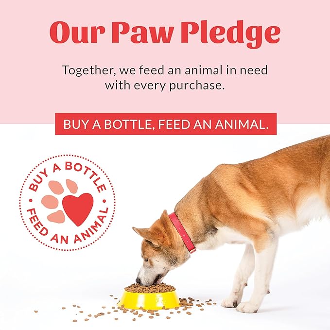 Skout's Honor Pet Detangler Spray - Hydrating & Conditioning with Avocado Oil & Probiotics, 97% Natural, Paraben & Sulfate-Free, softens for a brushable Coat, Daily Use, 8oz, Dog of The Woods, 2-Pack