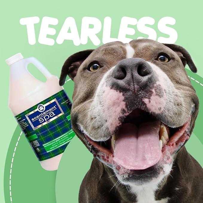 Scentament Spa Seasonal Facial & Body Wash, Berry Amaretto, 1 Gallon, Model: S55-Gallon