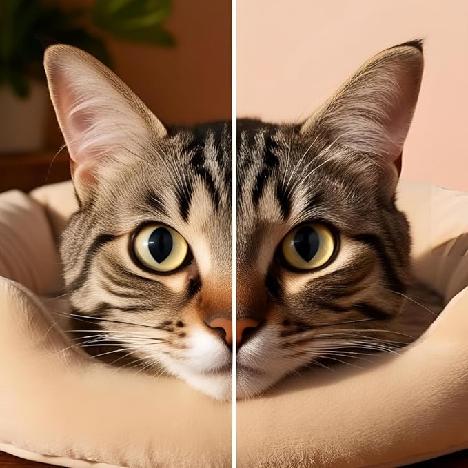 Pet Eye Cream Health, Premium Eye Cream for Cats, Dogs, Cattle, Sheep, Horse and Bird 3.5 gr/1 Tube for All Pets, Premium Tube Cream