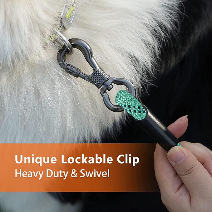 Long Dog Leash for Dog Training 10FT/15FT/20FT/30FT/40FT/50FT/100FT Reflective Leash with 2 Hooks, Heavy Duty Dog Lead for Large Medium Small Dogs Outside Walking Camping Yard,Teal 10FT