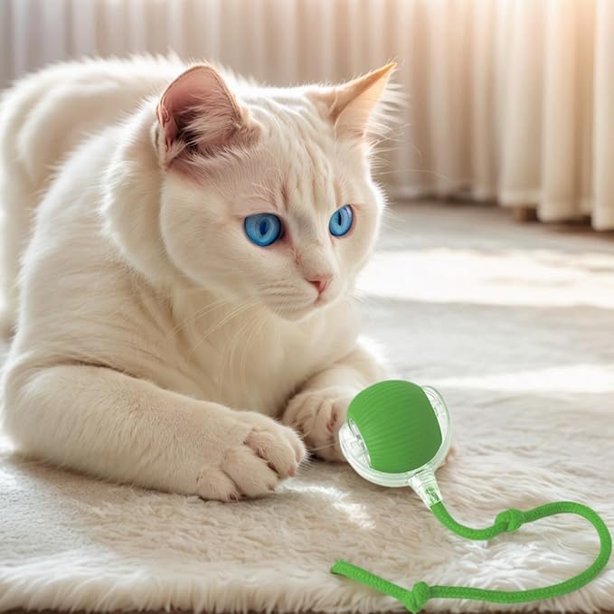 Electric Cat Toy - Automatic Rolling cat Toy with Motion sensors, Designed for Indoor Cats, Suitable for Solo Play (USB Rechargeable) (Greener)