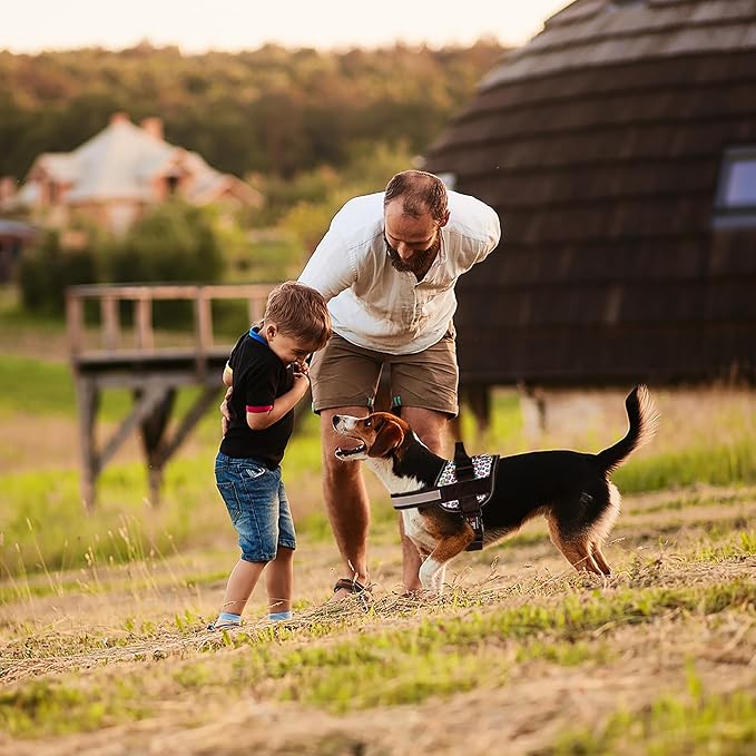 Dogline Dog Harness, Reflective No-Pull Adjustable Vest with Handle for Walking, Training, Breathable, No - Choke Harness for Small, Medium or Large Dogs Room for Patches Leopard Rainbow M 22"-28"