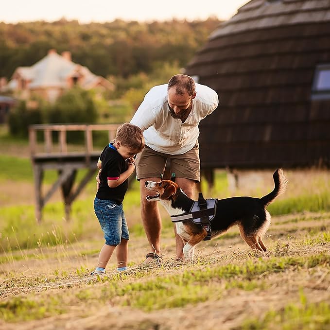 Dogline Dog Harness, Reflective No-Pull Adjustable Vest with Handle for Walking, Training, Breathable, No - Choke Harness for Small, Medium or Large Dogs Room for Patches Girth 15 to 18 in Grey