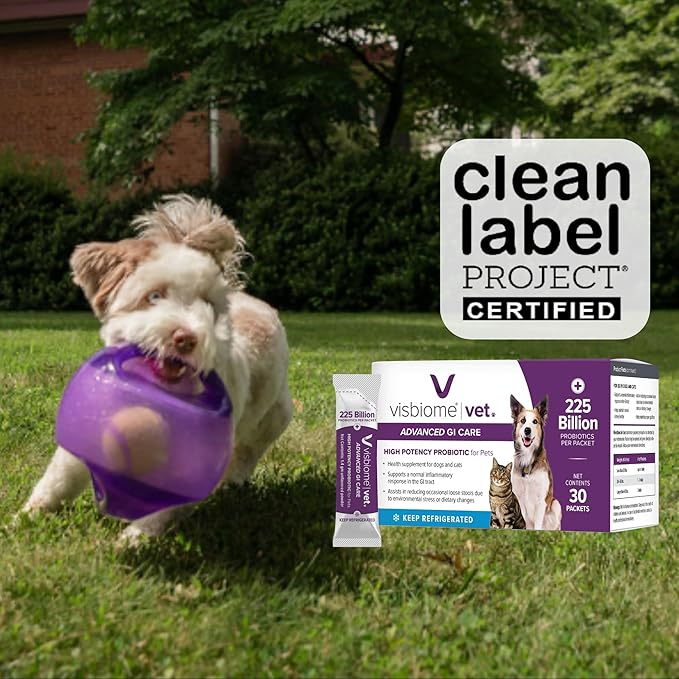 Visbiome® Vet Advanced GI Care Probiotic for Dogs & Cats – 225B CFU, 8-Strain Formula – Veterinarian Recommended, Clean Label Certified – 90 Packets