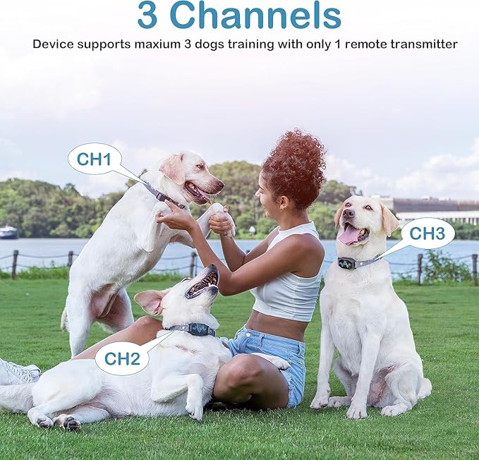 Dog Training Collar, Dog Shock Collar with Remote Control, 2500FT and 4 Training Modes Beep, Vibration, Electric Shock, IP67 Waterproof Rechargeable E-Collar for All Breed