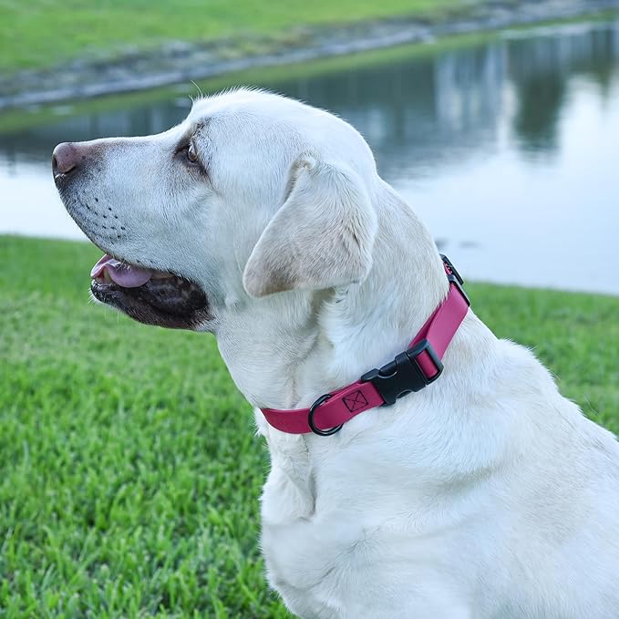 Dogline Biothane Waterproof Dog Collar with Quick Release Buckle Strong Coated Nylon Webbing with Odor- Proof for Easy Care Easy to Clean Fits Small Medium Large Dogs, Magenta Pink 3/4" W 12-19" L