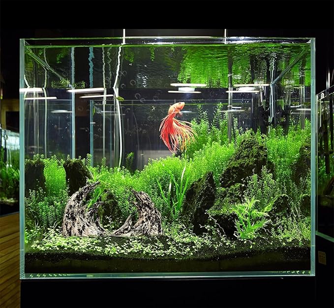 Novelsite Fish Tank Decor- Jagged Canyon Rock Formation ,Made of Solid Sandstone,Suitable for a Variety of Fish Tank Scenes, DIY Planting Moss, Safe and Non-Toxic