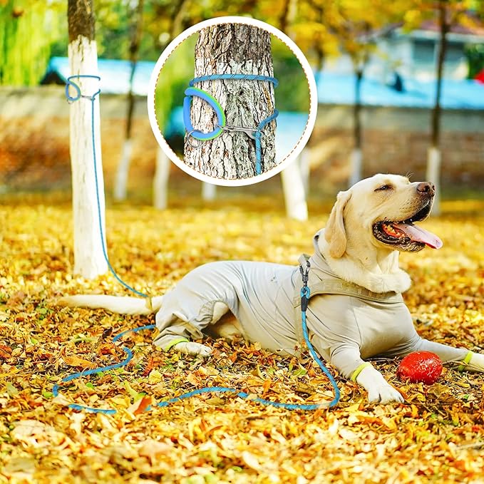 Long Dog Leash for Dog Training 10FT/15FT/20FT/30FT/40FT/50FT/100FT Reflective Leash with 2 Hooks, Heavy Duty Dog Lead for Large Medium Small Dogs Outside Walking Camping Yard, Blue 30FT