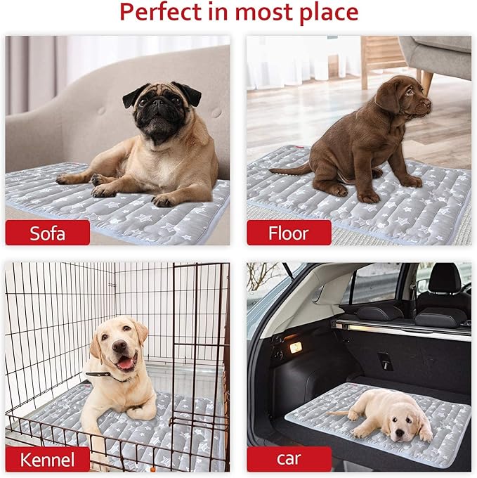 Dog Crate Mat (24" X 18"), Soft Dog Bed Mat with Cute Prints, Personalized Crate Pad, Anti-Slip Bottom, Machine Washable Kennel Pad