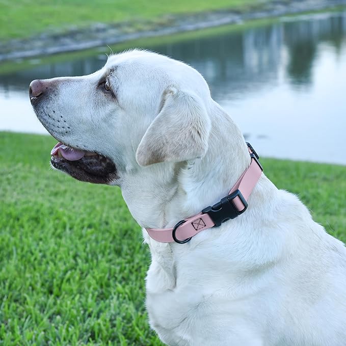 Dogline Biothane Waterproof Dog Collar with Quick Release Buckle Strong Coated Nylon Webbing with Odor- Proof for Easy Care Easy to Clean Fits Small Medium Large Dogs, Lavender 1" W 15-23" L