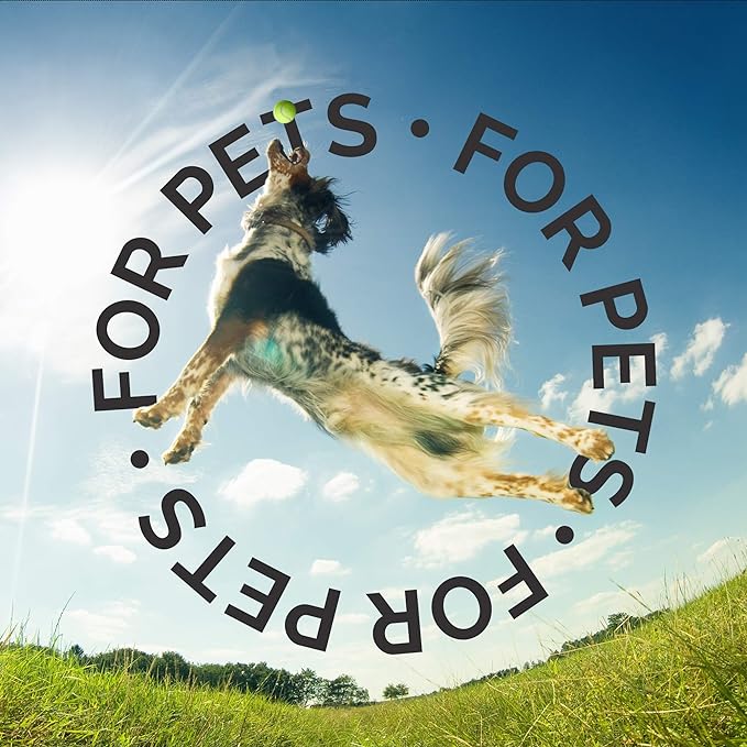 Bark2Basics Hawaiian White Ginger Dog Shampoo, 1 Gallon - Unique Herbal Blend, Natural Ingredients, Hawaiian White Ginger Scented, Cleans and Delivers Nutrients, Dilutes 16 to 1